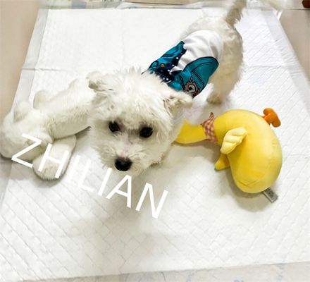 Máy làm Underpad huấn luyện thú cưng 350 M / phút